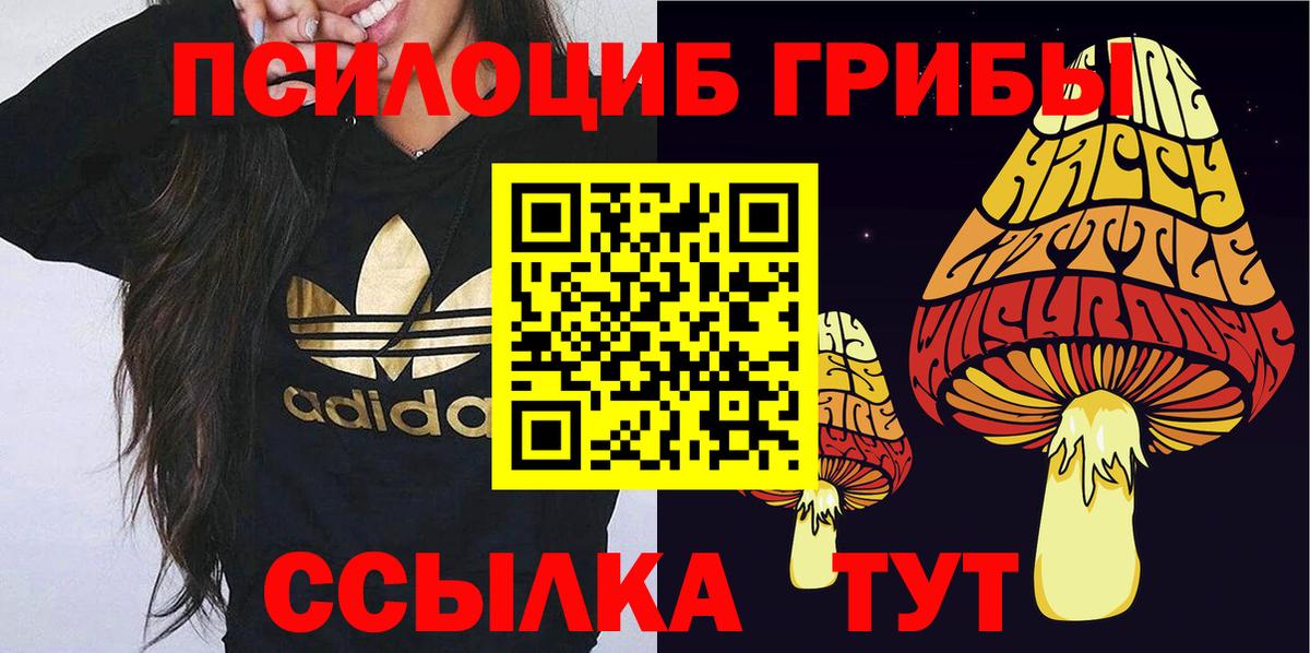 хочу наркоту  Галлюциногенные грибы Cubensis  Вход с VPN  Переславль-Залесский 
